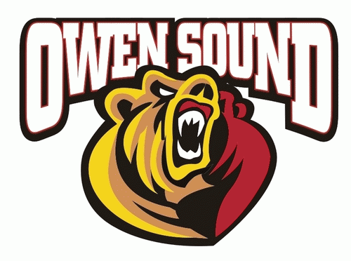 Owen Sound Attack 2011-pres attack primary logo iron on heat transfer...